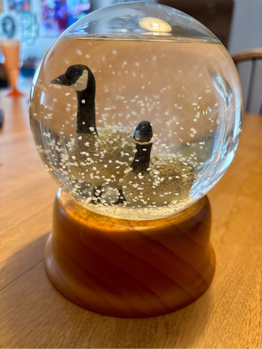 Eddie Bauer Canada Goose Snow Globe - Black and Brown